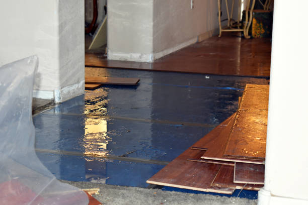 Professional Burst Pipe Water Damage technician working in Newark, OH